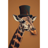 Girafe
