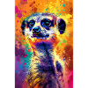 Suricate