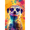 Suricate