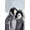 Pingouin