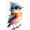 Colibri