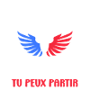 drapeau france patriote