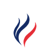 Patriotic France Emblem