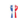 drapeau francais patriote