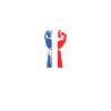 Patriotic French Flag