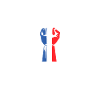 drapeau francais patriote