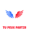 patriote drapeau france