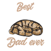 Ball Python Schlange Königspython