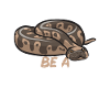 Ball Python Schlange Königspython