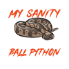 Ball Python Schlange Königspython