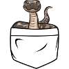 Ball Python Schlange Königspython