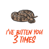 Ball Python Schlange Königspython