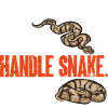 Ball Python Schlange Königspython