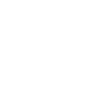 Ara Tier Schnabel Vogelart