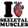 I love skeletal muscles