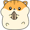 Eating cute hamster pit