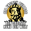 OLD ENGLISH BULLDOG DOG DOGS