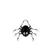 Drôle d’araignée papa Tee insecte