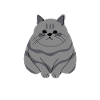 chat gros blanc