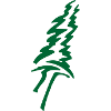 Tannenbaum