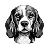 Beagle Dog Portrait