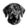 Labrador Dog Portrait