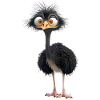 A Funny Bird Ostrich