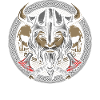 Viking Warriors