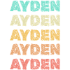 Gift for Ayden