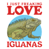 Iguana Reptile Lizard Iguanas Gift