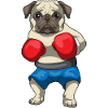 Mops Boxer Boxhandschuhe Boxen