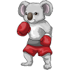 Koala Boxer Boxhandschuhe Boxen