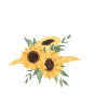 Letter p floral sunflower
