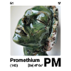 AI am Promethium (wt)