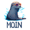 Seal with sunglasses