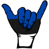 Estonie Drapeau Surf Symbole