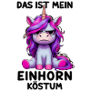This is my unicorn costume