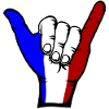 France Flag Surfing Symbol