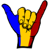 Roumanie Drapeau Surf Symbole