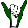 Nigeria Flag Surfing Icon