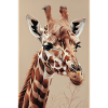 Girafe