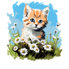 Cymric Kitten Cymric Cat