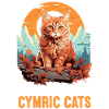 Cymric Kitten Cymric Cat
