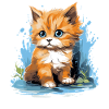 Cymric Kitten Cymric Cat