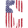 Boxer dog with USA flag