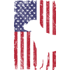 Rottweiler dog with USA flag