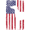 Greyhound dog with USA flag
