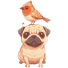 Pug with bird