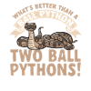 Ball Python Schlange Königspython