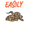 Ball Python Snake King Python